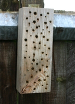 bee post for mason bees